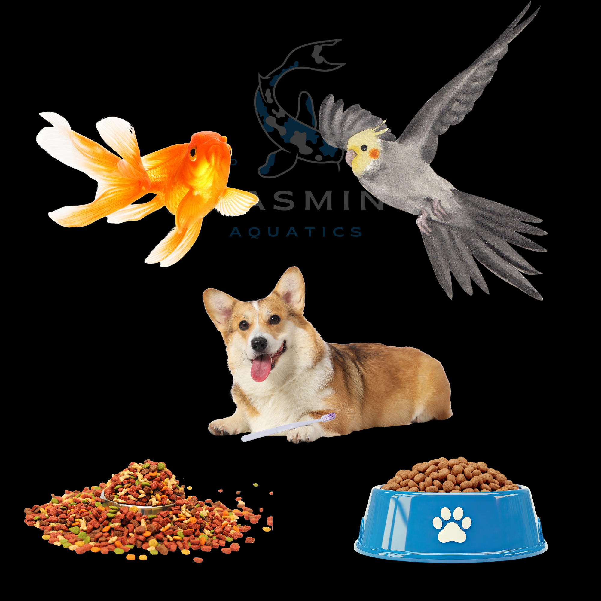 Pet Food