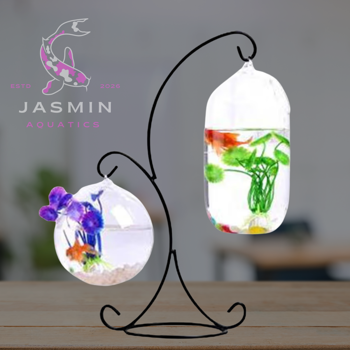 Hanging Small Fish Tank Collections
