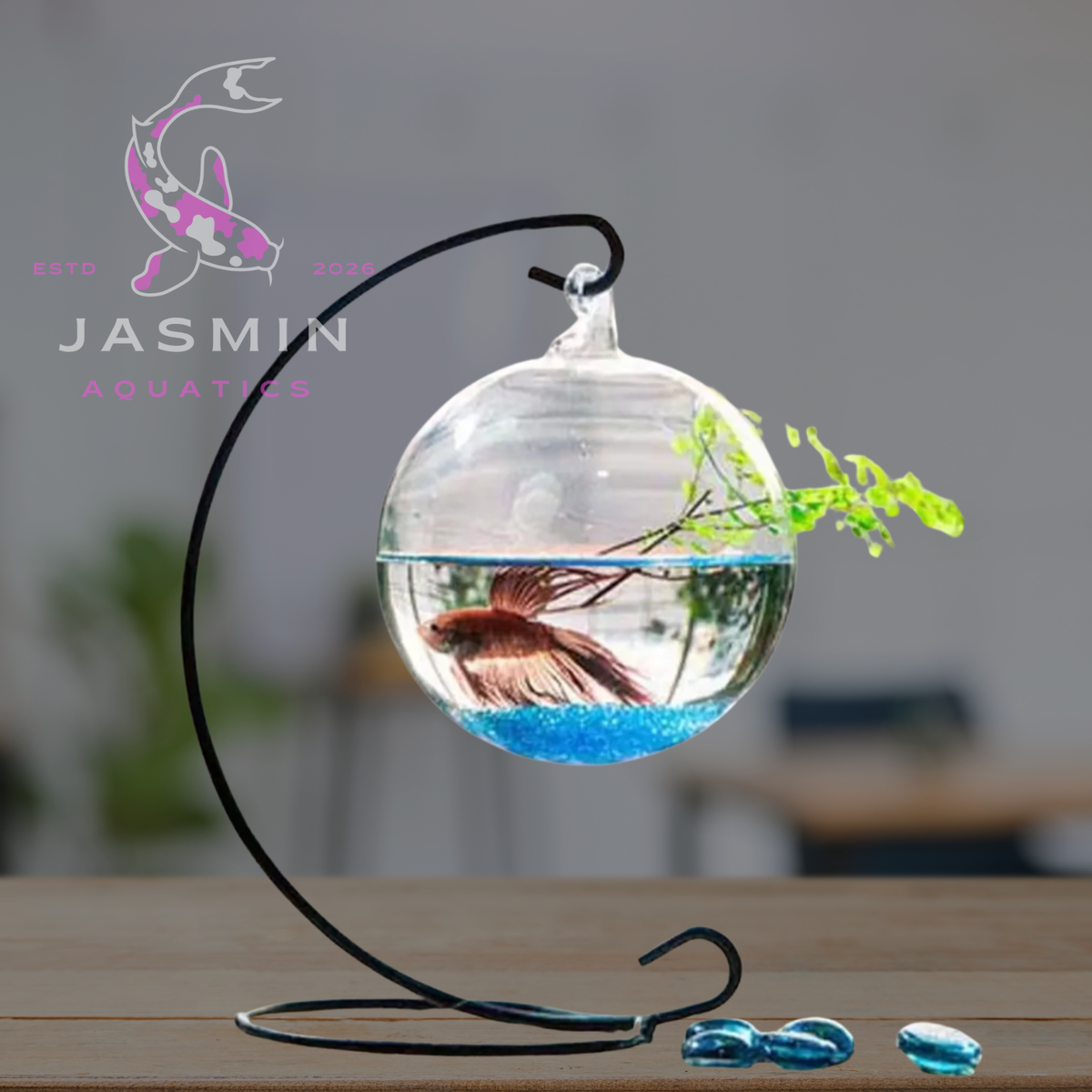 Hanging Small Fish Tank Collections