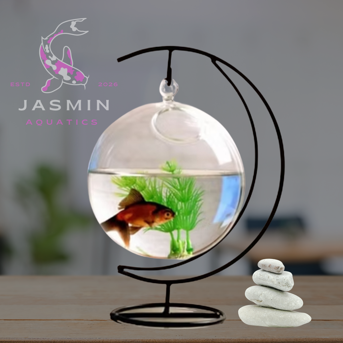 Hanging Small Fish Tank Collections