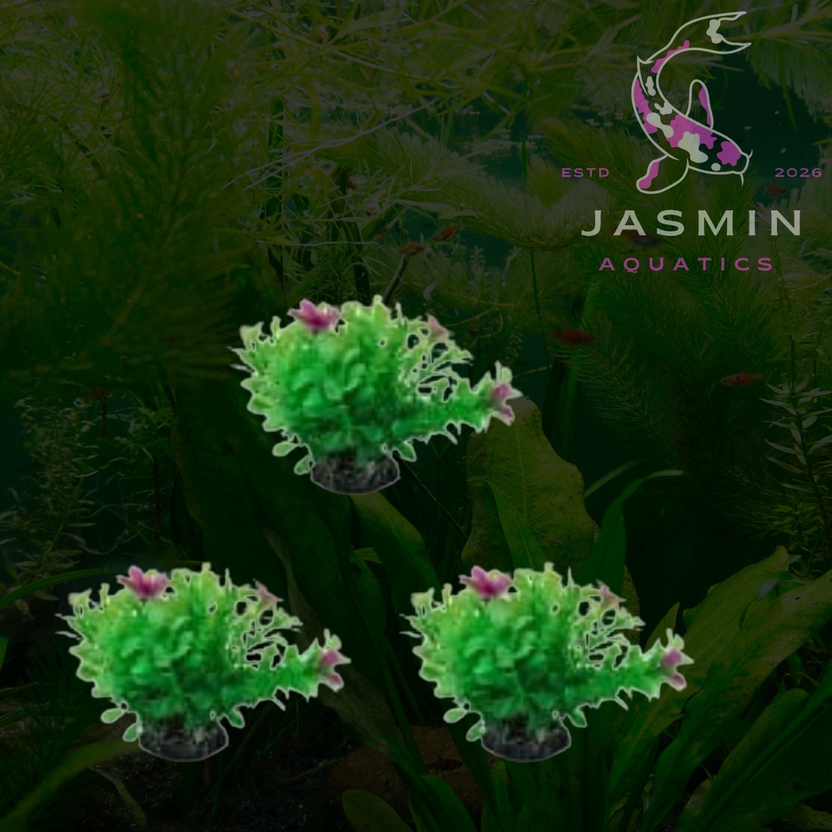 Resin Aquarium Centre piece Decorations
