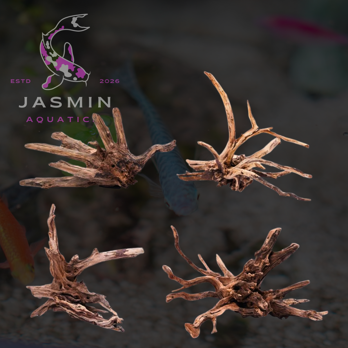 Driftwood for Freshwater Aquarium