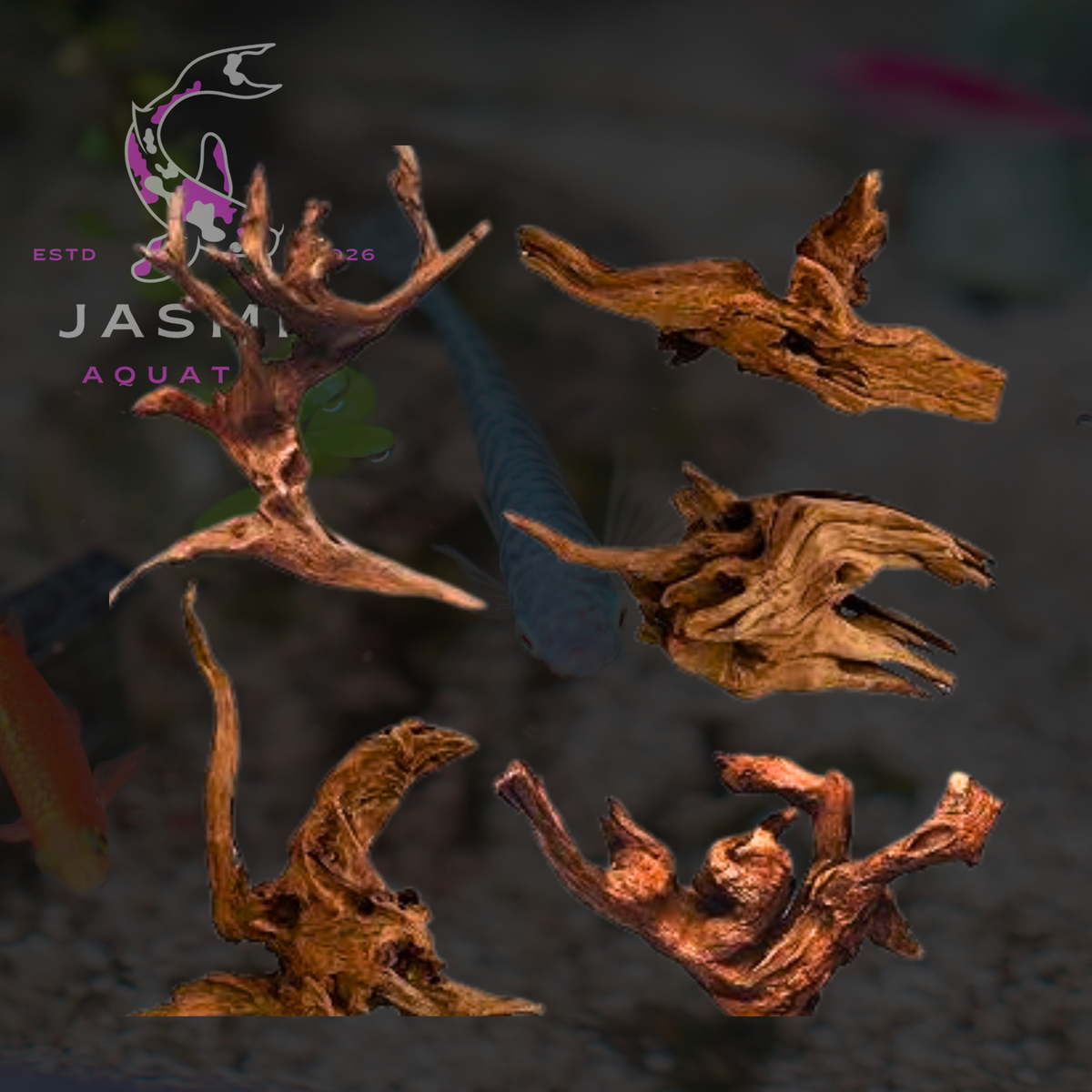 Driftwood for Freshwater Aquarium
