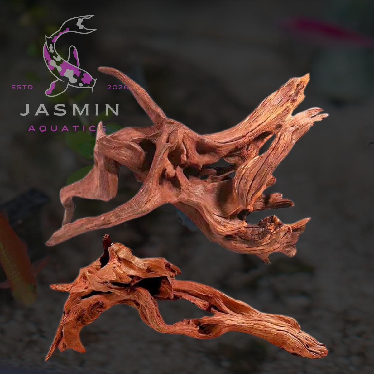 Driftwood for Freshwater Aquarium