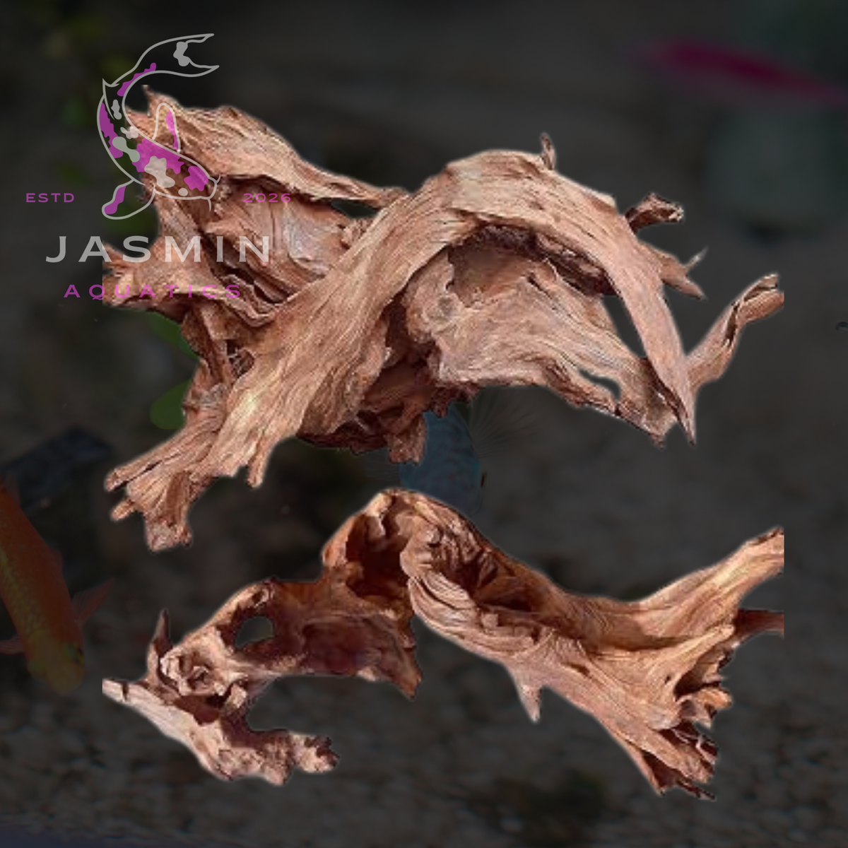 Driftwood for Freshwater Aquarium