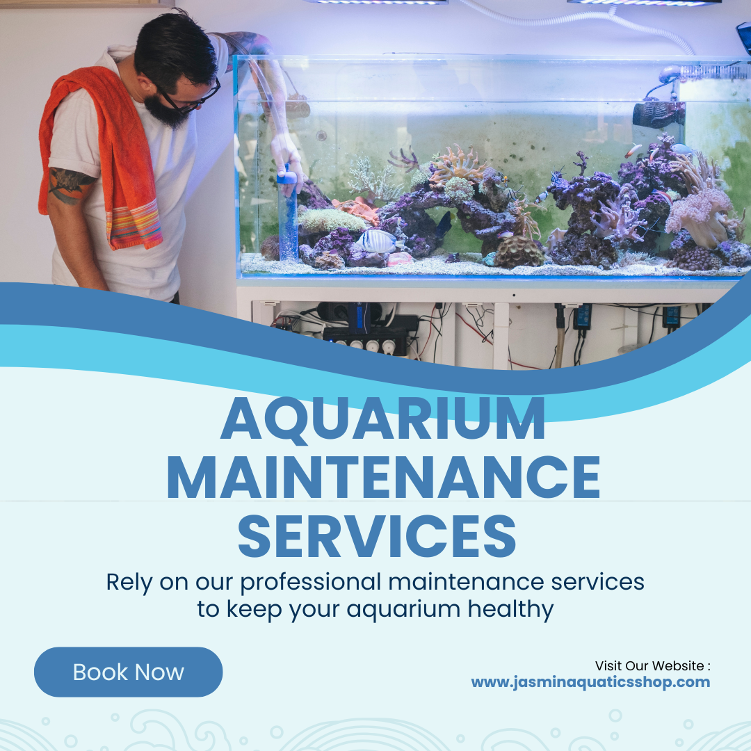 Aquarium Maintenance Services