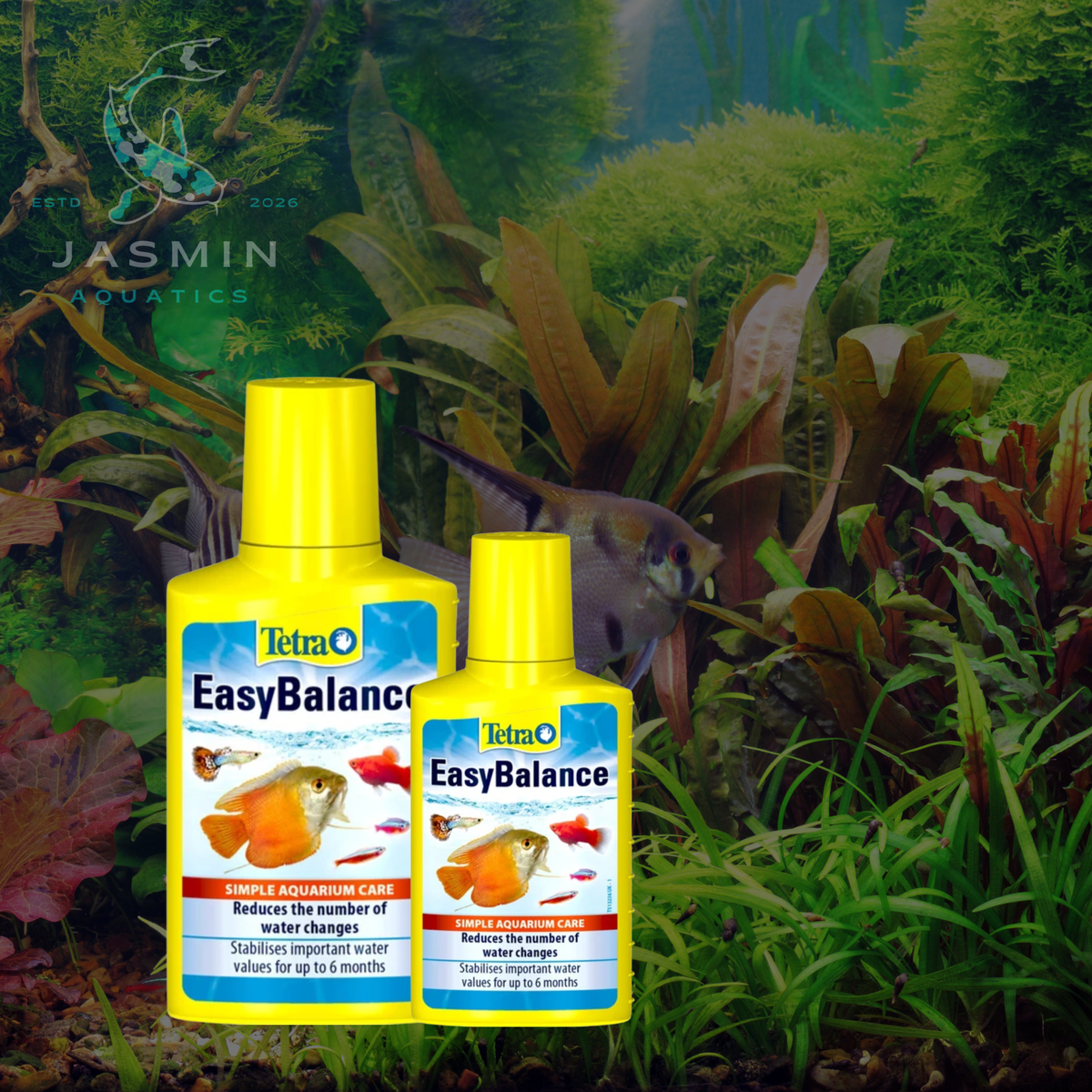 The Tetra EasyBalance "c.cap"