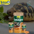 Tetra ReptoDelica Gammarus