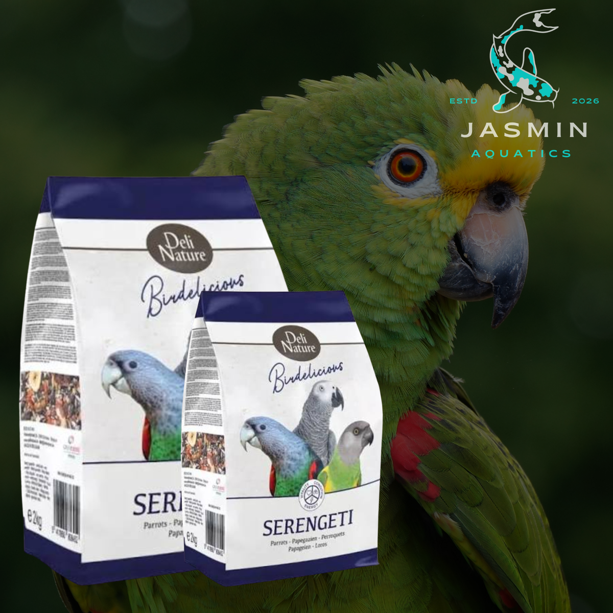 Deli Nature Birdelicious Serengeti species like African Greys and Senegals.