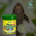 Tetra Pleco Tablets 120Tb
Complete Nutrition • Easy Bottom Feeding • Supports Growth • Easy Digestion