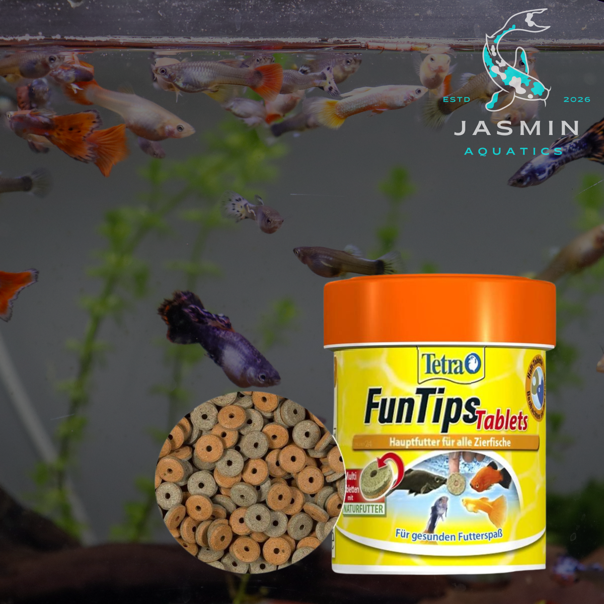 Tetra FunTips Tablets 75Tb