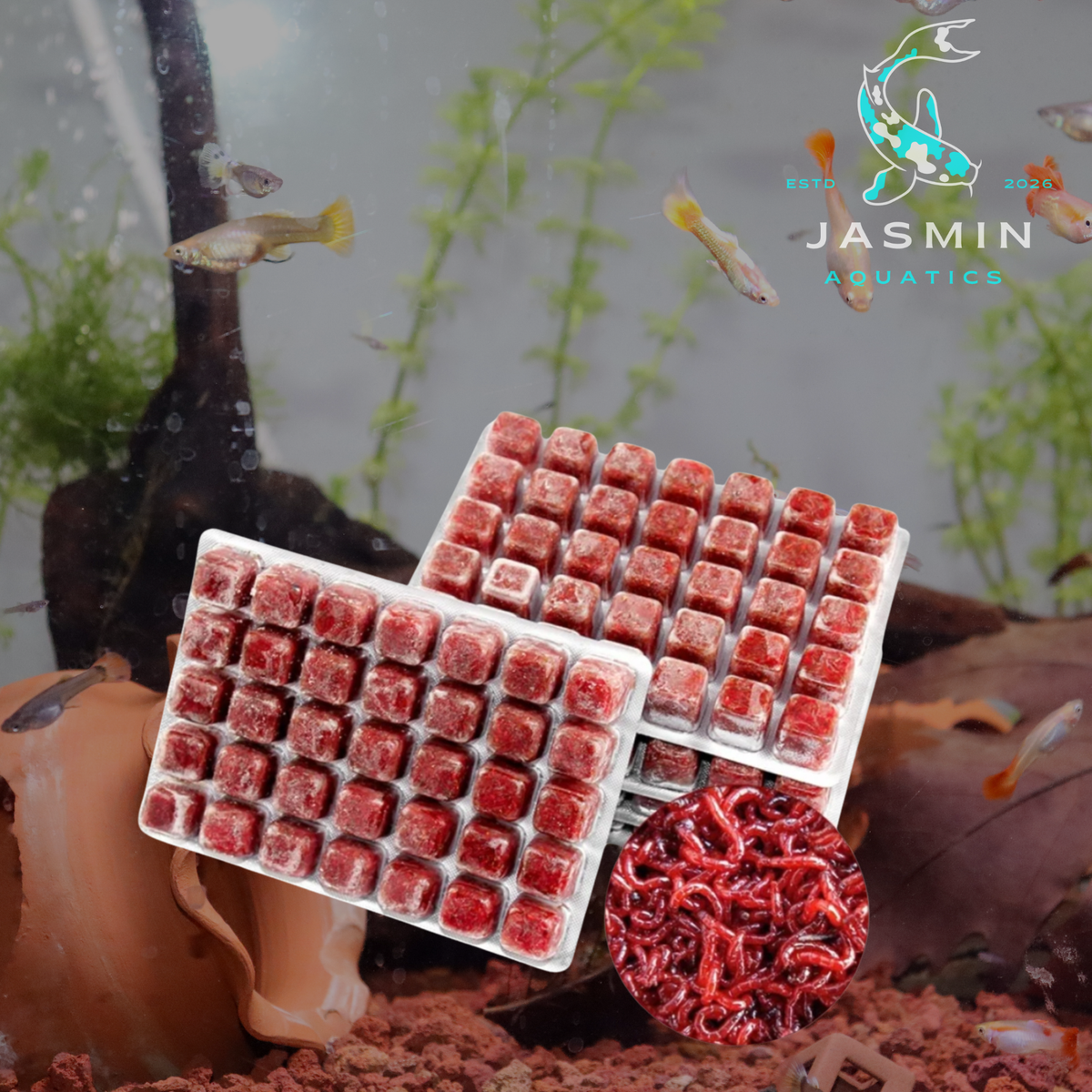 Fuji Frozen Red Worms (Bloodworms) 100g