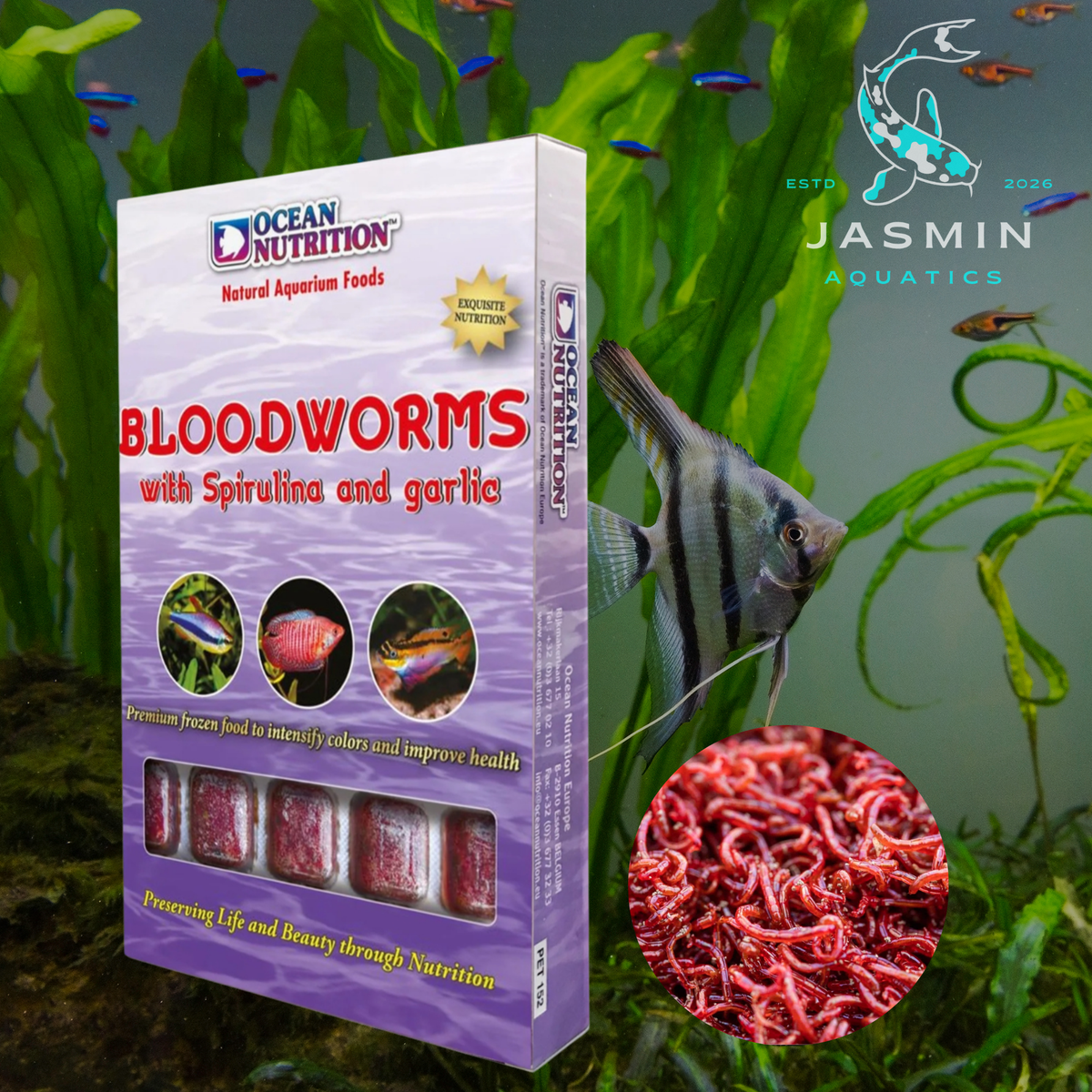 Ocean Nutrition Frozen Bloodworms with Spirulina and Garlic 100g
