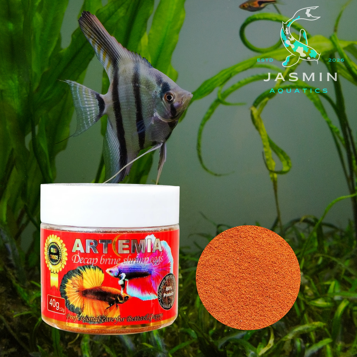Siso Artemia Decap Brine Shrimp Eggs 40g