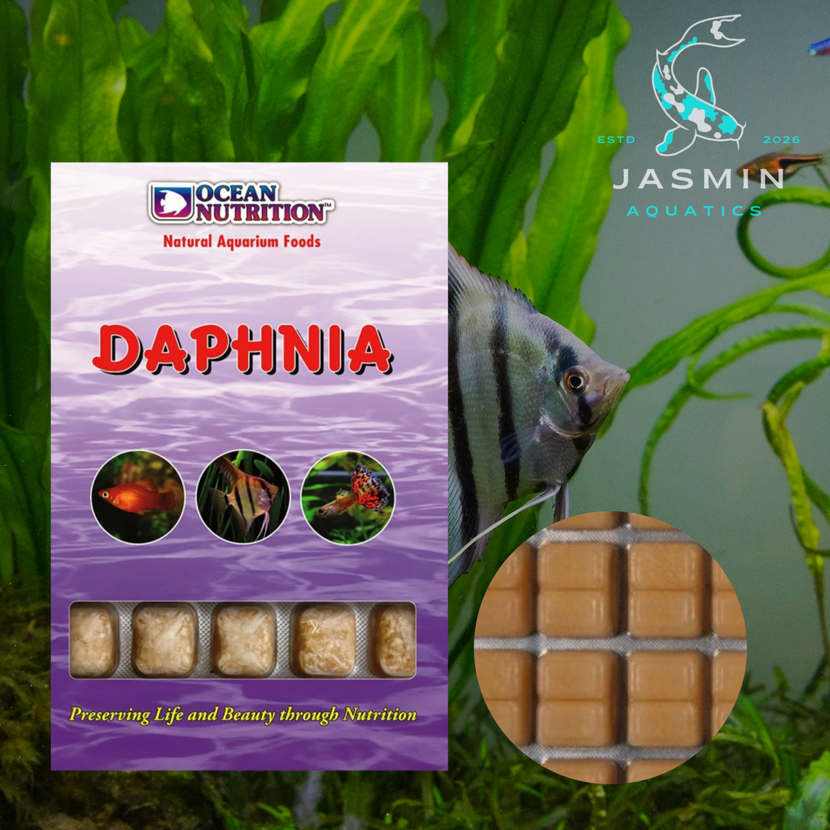 Ocean Nutrition Daphnia - 100g Frozen Fish Food