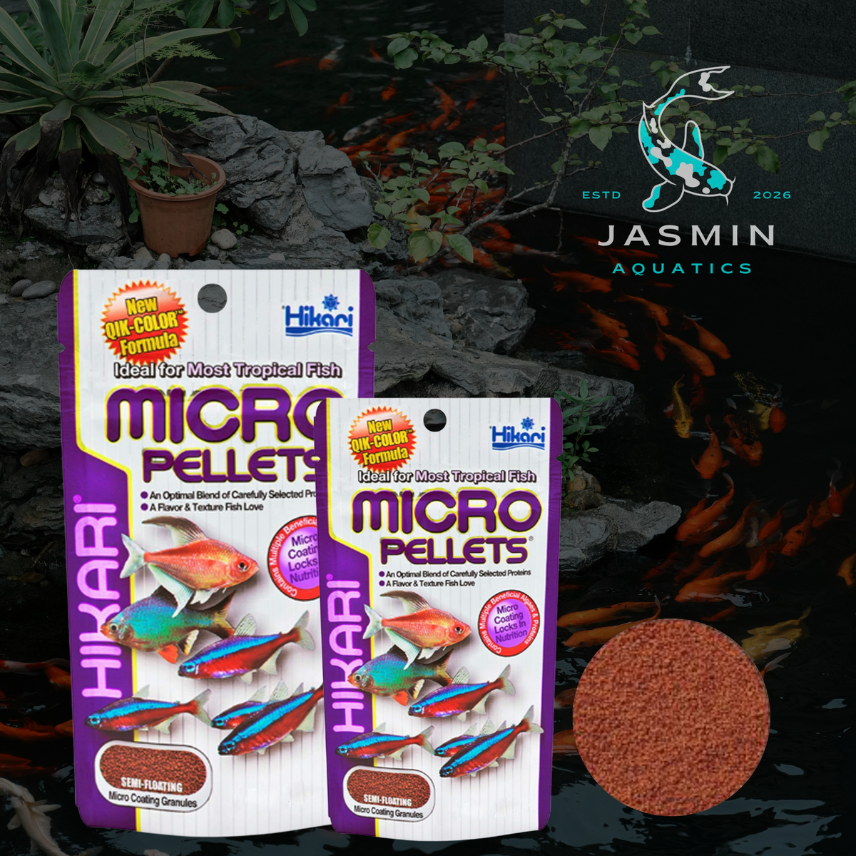 Hikari Micro Pellets specifically designed for tetras, barbs, and other small-mouthed tropical community fish