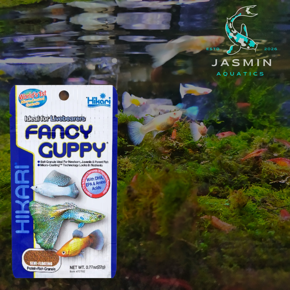 Hikari Tropical Fancy Guppy food 22g