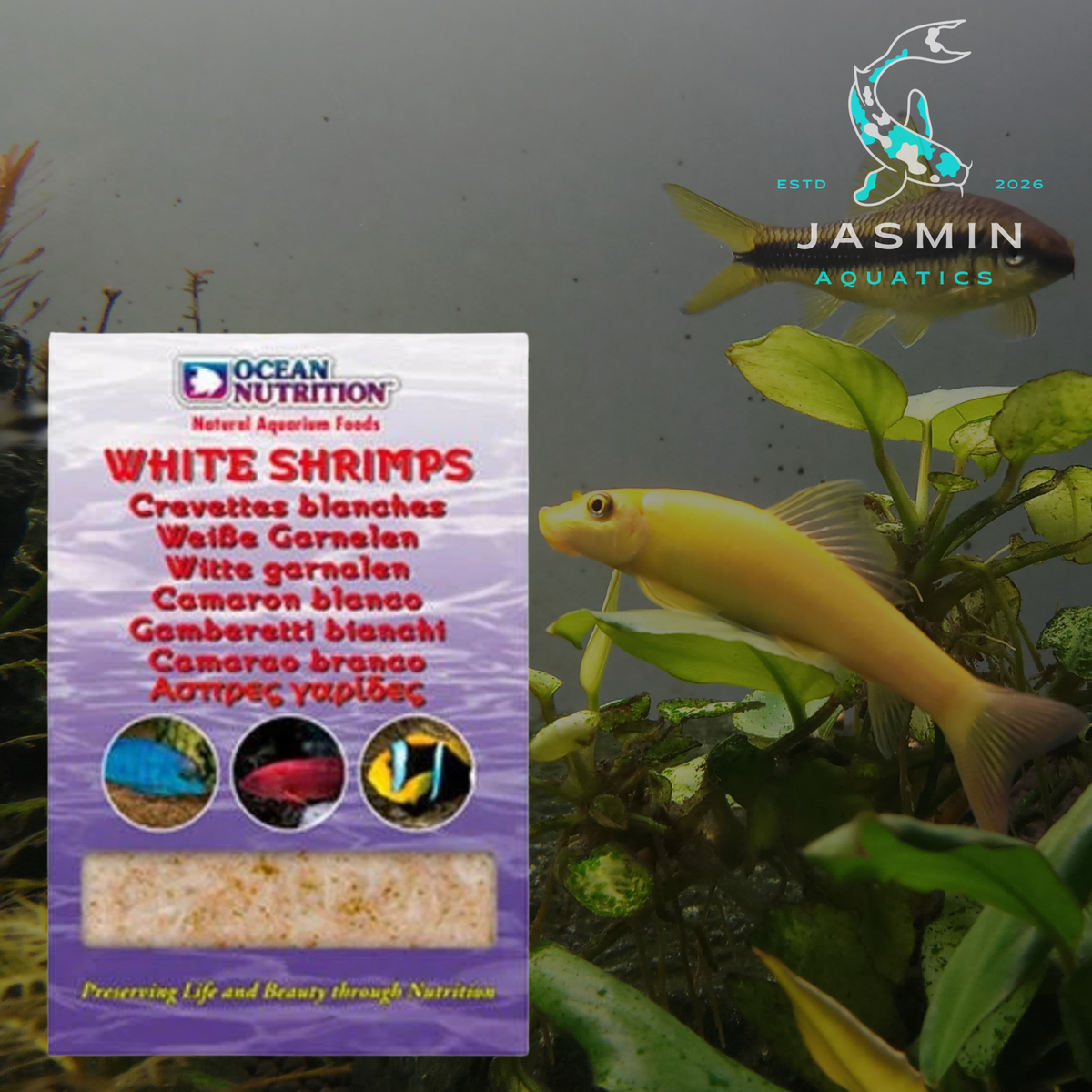 Ocean Nutrition White Shrimps (100g) Frozen Fish Food