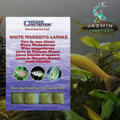 Ocean Nutrition Black Mosquito Larvae Frozen Food (100g)