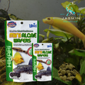 Hikari Algae Wafers for Plecostomus and other algae-eating bottom feeders.