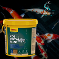 Sera Koi Royal Mini (3.8 L)