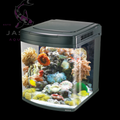 Boyu Marine Aquarium With
Cabinet
520Lx580Wx630H(Mm)[Hs-62]