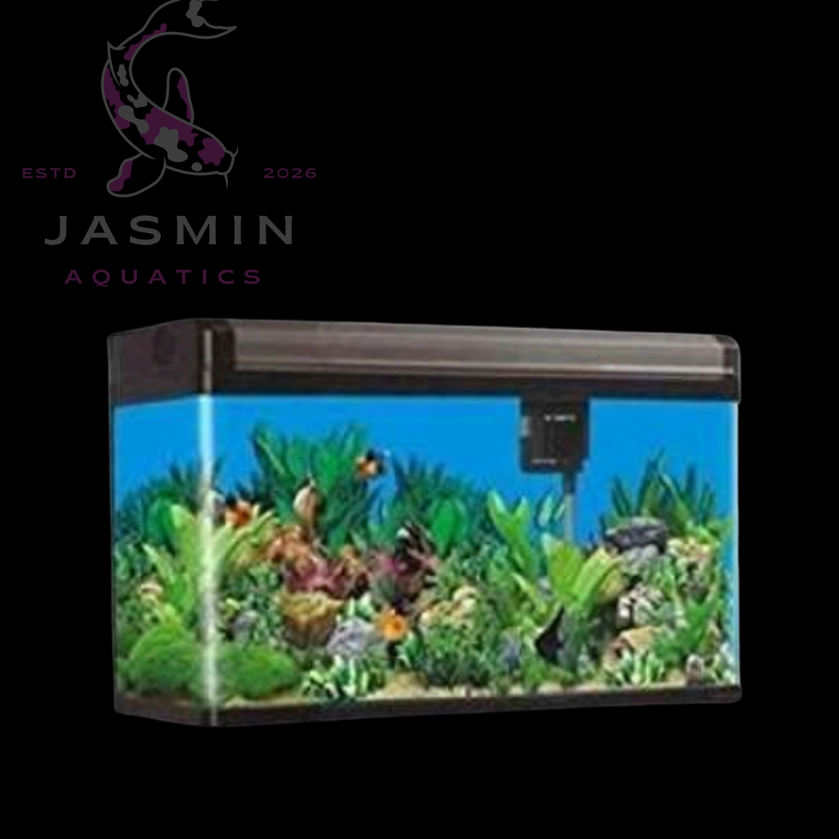 BOYU AQUARIUM EA SERIES
- WITHOUT
CABINET[Dimension -
600x400x488mm]