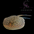 Motoro Stingray (Potamotrygon motoro) 7"