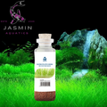 Aquatic Big Cow Hair Seeds (20 ml)