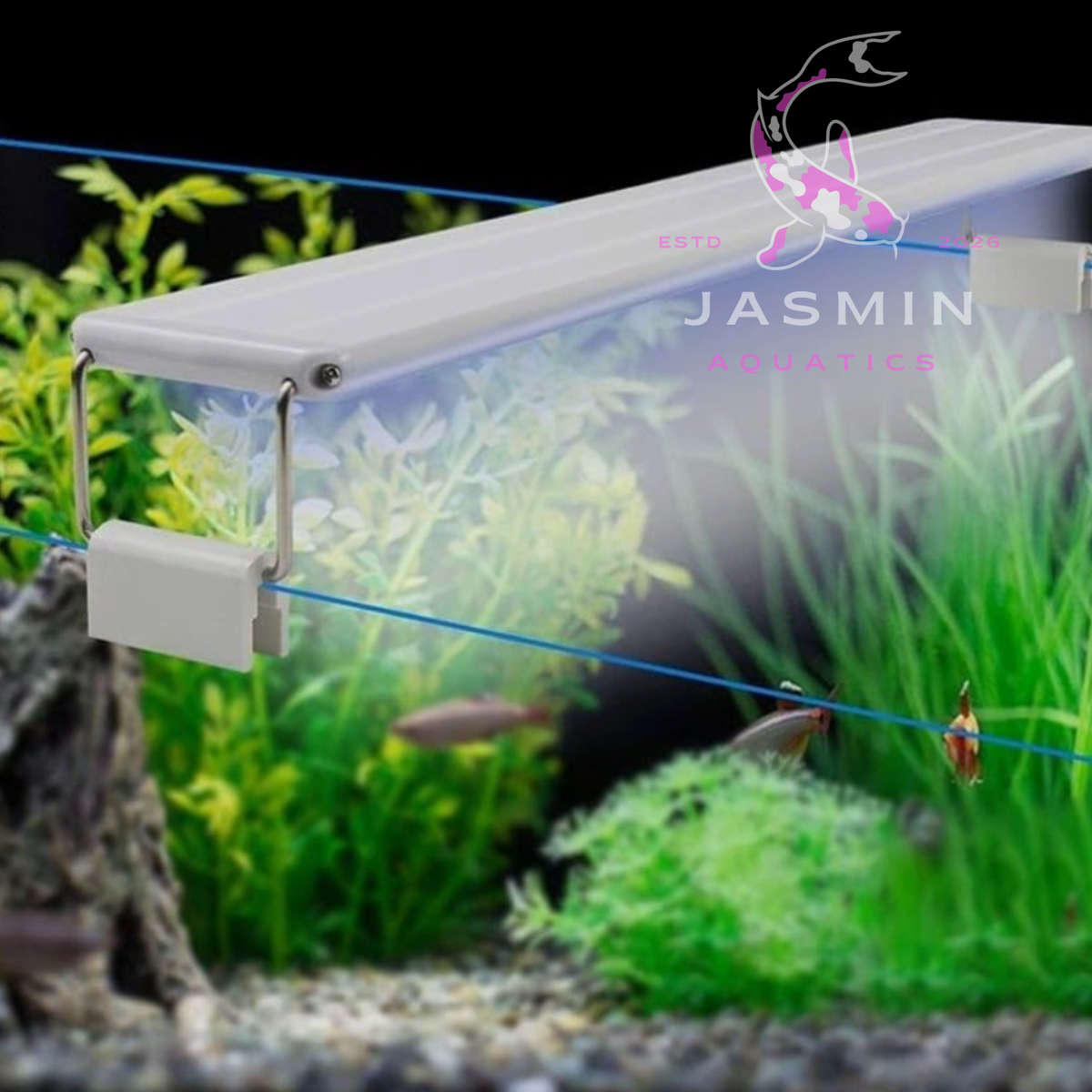 Led Light Fish Tank Damp Grass Tank