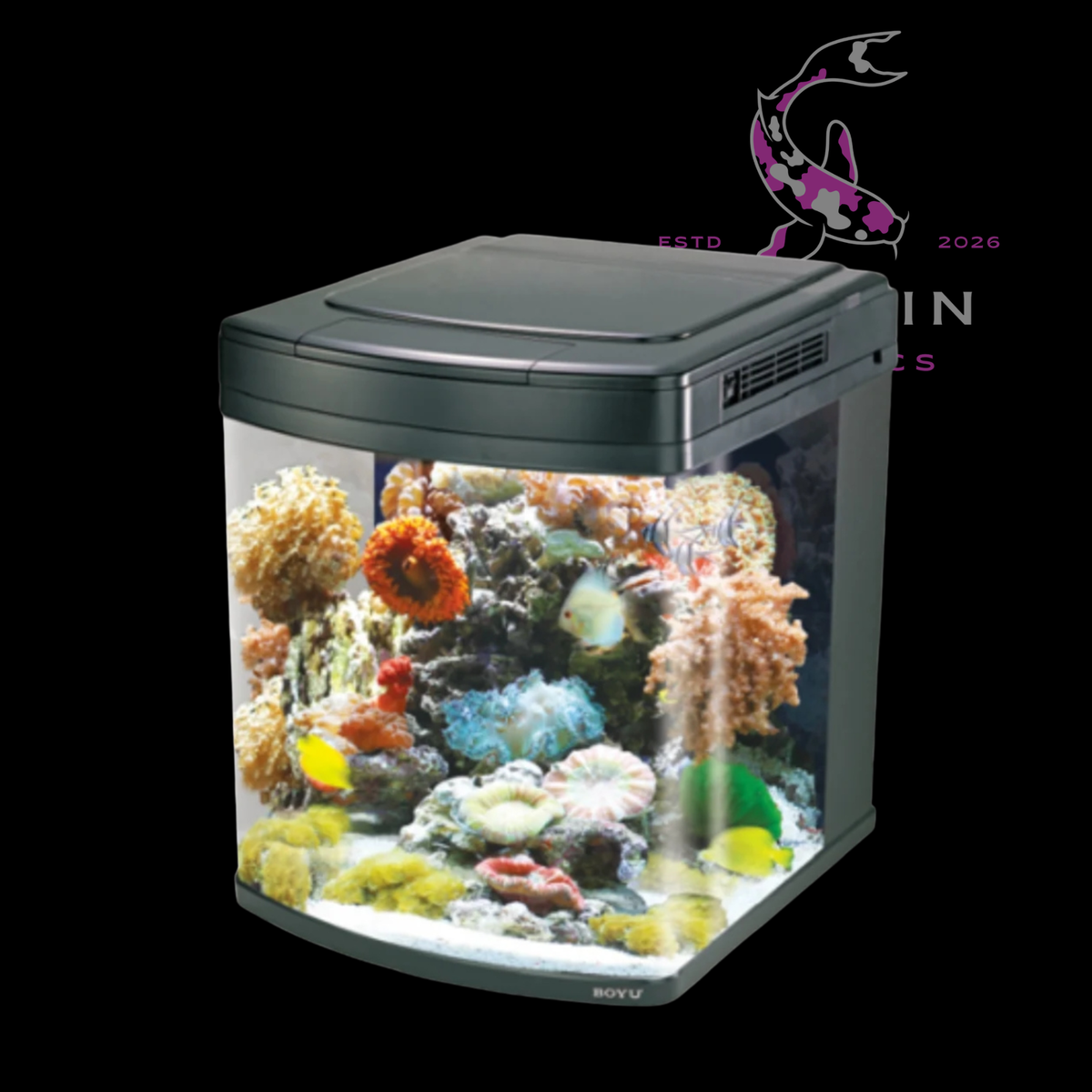 Boyu Marine Aquarium-
520Lx580Wx630Hmm[HS-62]-Without Cabinet-128L