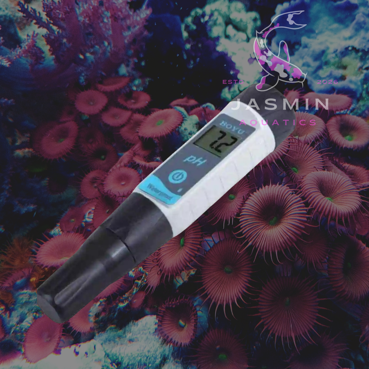 Boyu PH Pentester PH-01