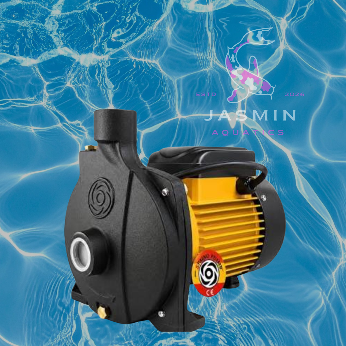 Spaino 1 HP Centrifugal Water Pump SP100