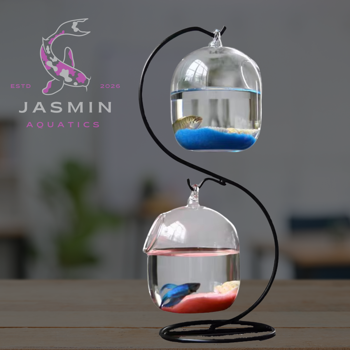 Hanging Small Fish Tank Collections