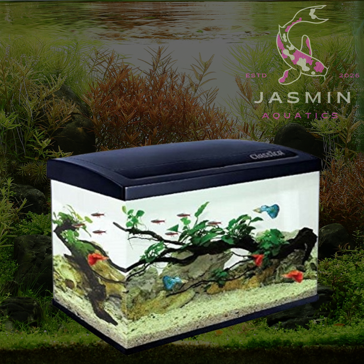 Eco 60L Aquarium Tank