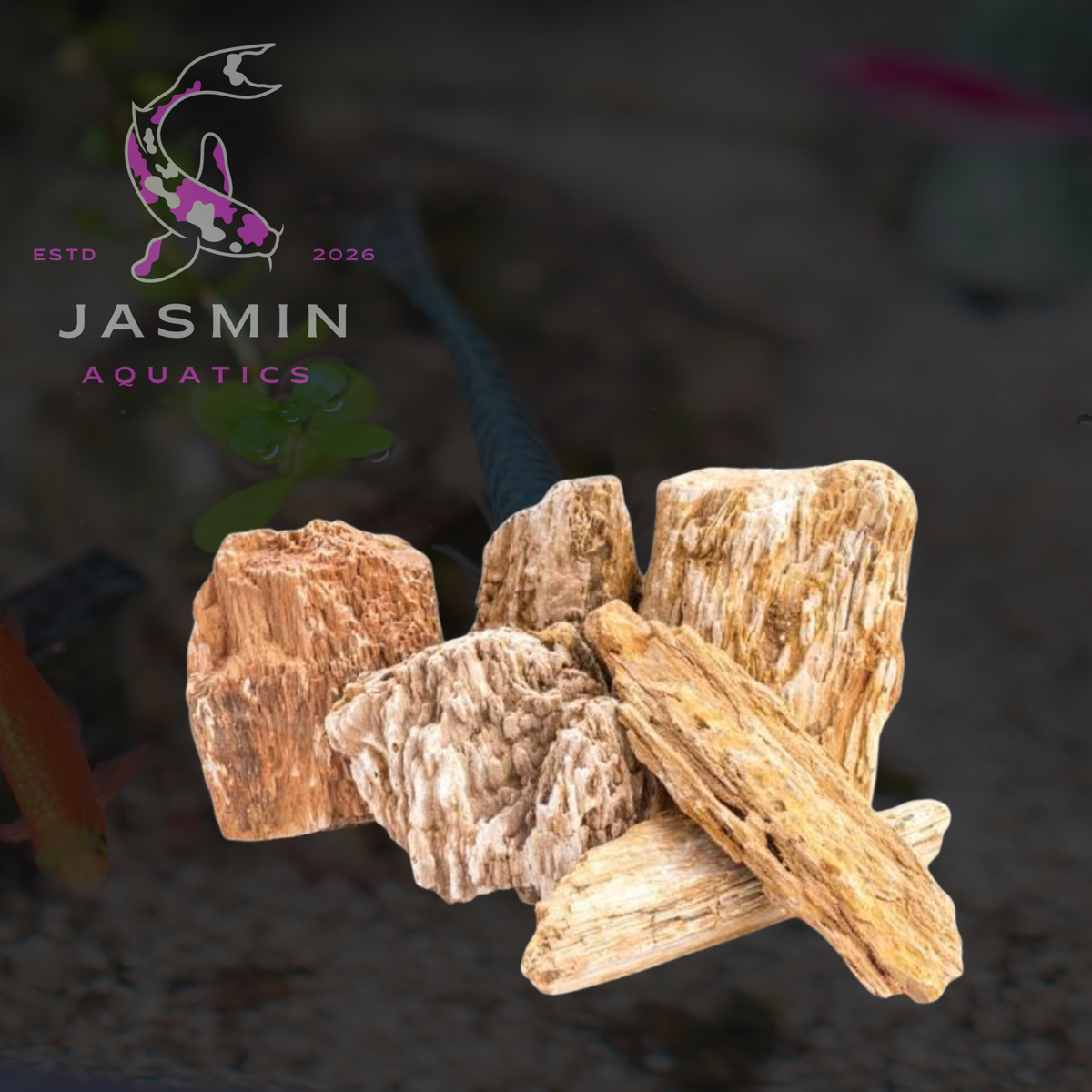 Fossil Rock (fossil wood or petrified wood stone)