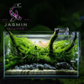 Aquascape Ultra Clear Aquarium 80x40x45 (1Pc  Aquarium)