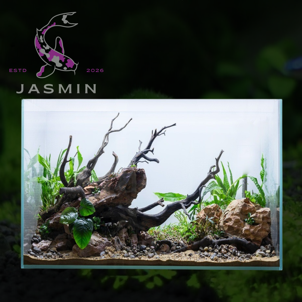 Crystal Clear Glass Aquariums (40x23x25 cm) 1Pc Aquarium