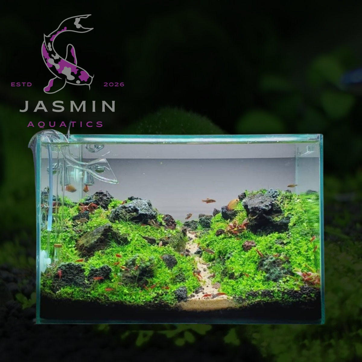 Crystal Clear Glass Aquarium (45x27x30 cm)