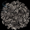 Sunflower Seeds for Birds