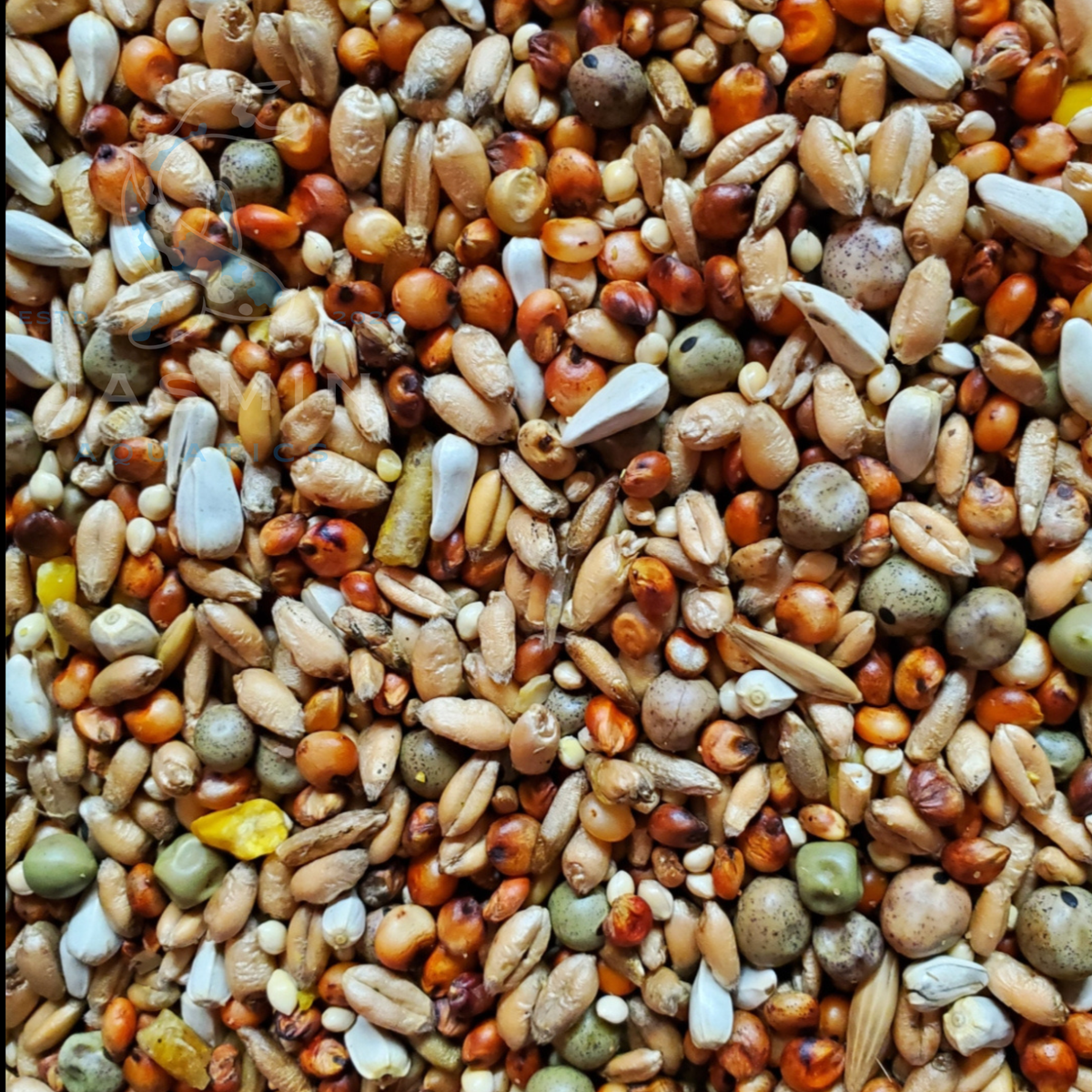 Pigeon Mix Food