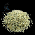 Green Bajra for Birds