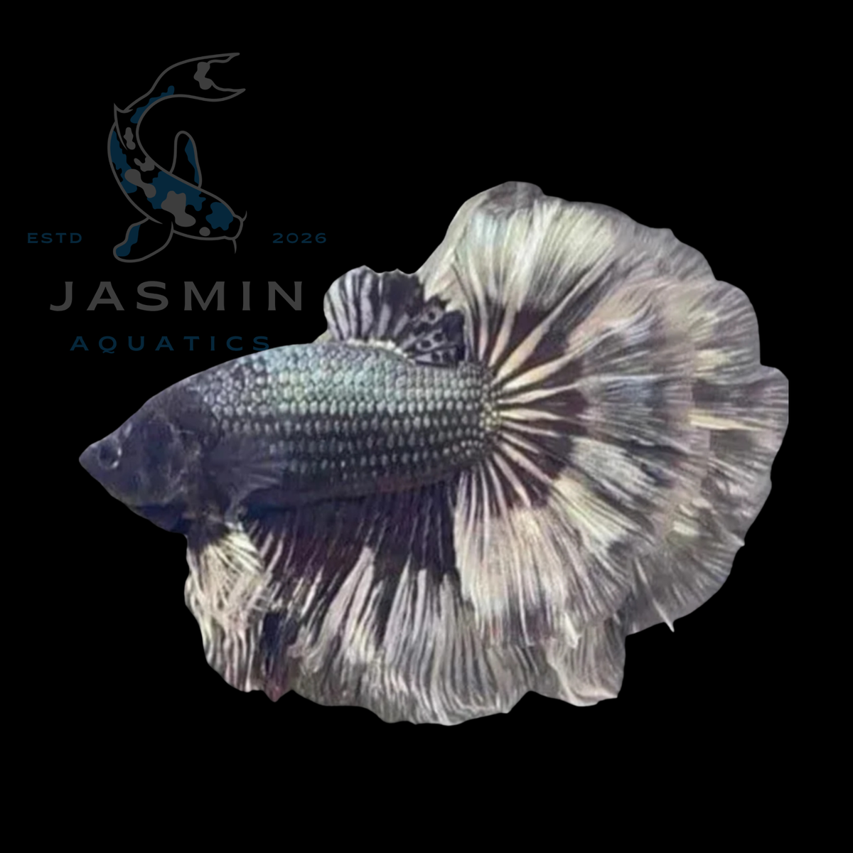 Half Moon Betta - Metallic Marble